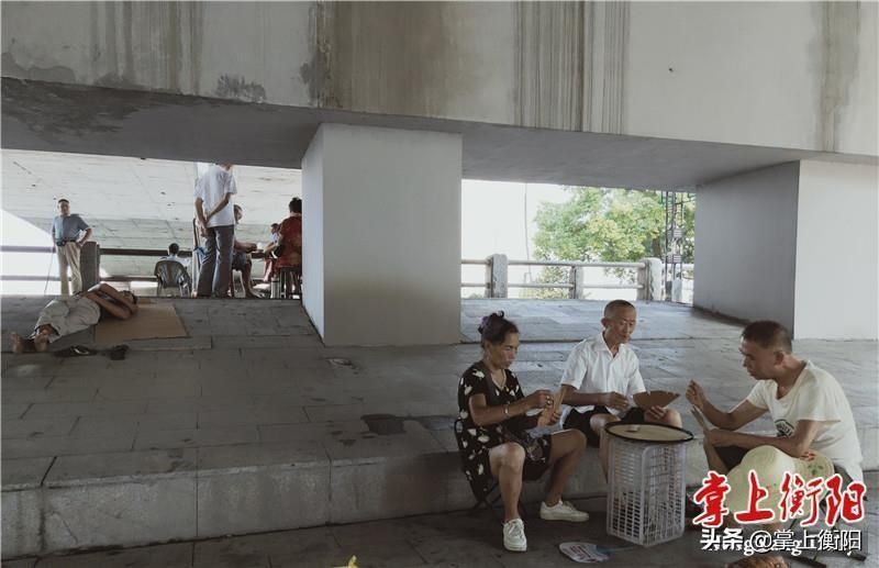 牌桌|风光带上牌桌扎堆！市民游客苦不堪言