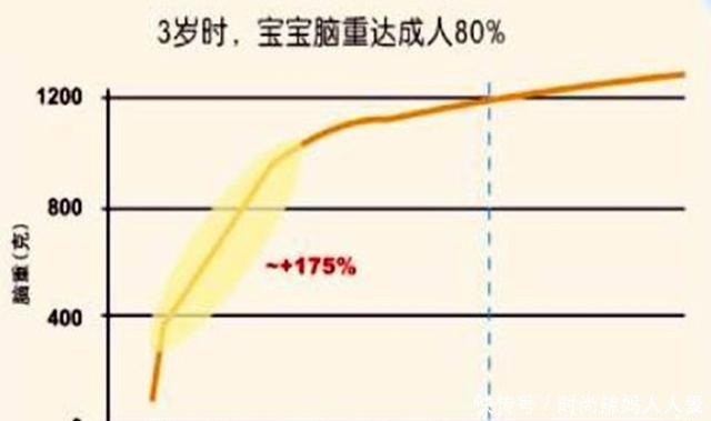 大脑|哈佛研究指出孩子有三次大脑发育的高峰期，父母起码要抓住一次