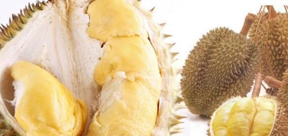 榴莲|榴莲对身体有什么好处?点击收藏