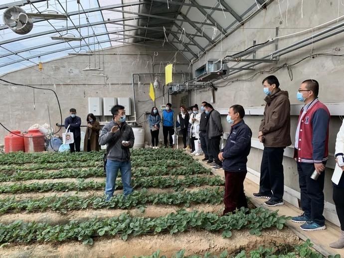  标准|致敬世界标准日——“农业专家现场讲标准”走进大兴种植基地