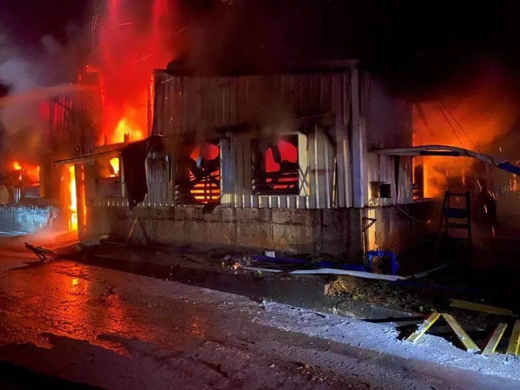  养殖户|心痛！养猪场4000只小猪葬身“火海”，网友：好可怜