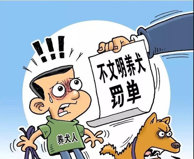 动物医院|严厉打击！我市3部门联合执法