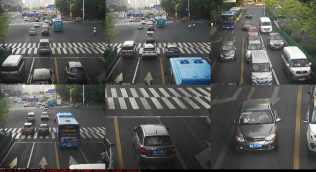 占用公交|闽AV256F、闽ASH677……一大批闽A车被曝光！