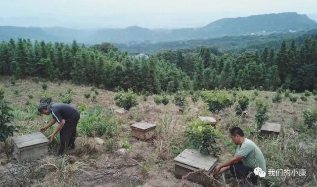  科大学第|让数据多跑路，患者少跑腿，这家医院是怎么做到的？