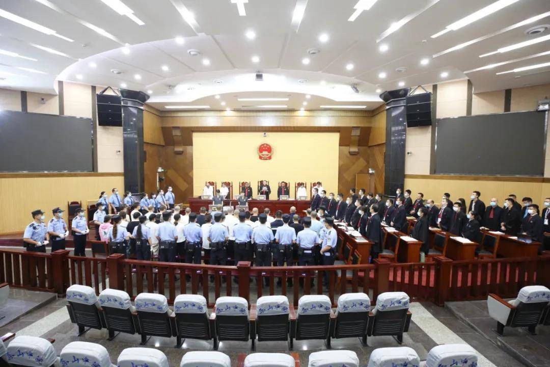 被判|四川乐山驳骨堂医院投资人彭树林涉黑案一审被判25年