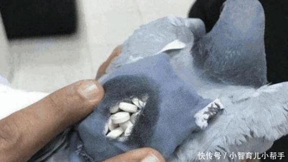  毒手|雷人藏毒运毒手法：只有想不到没有做不到的，真是为难毒贩子了！