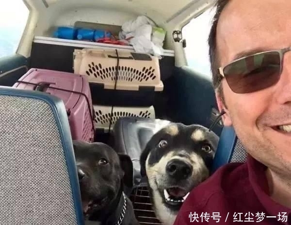 收容所|工程师贷款买飞机,2年来救助上千只毛孩,帮助它们逃离安乐死