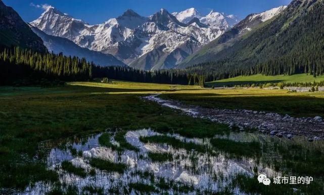 长白山|三伏暑热天，让我带你去这些只有25°的地方纳凉吧！