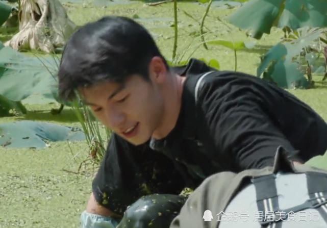 向往|《向往4》再现剧本!挖藕其实是安排好的桥段?官博疑发文承认!