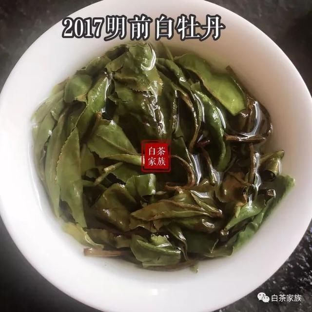  季节|秋天喝白茶指南：白毫银针和白牡丹，适合现在的季节喝吗？