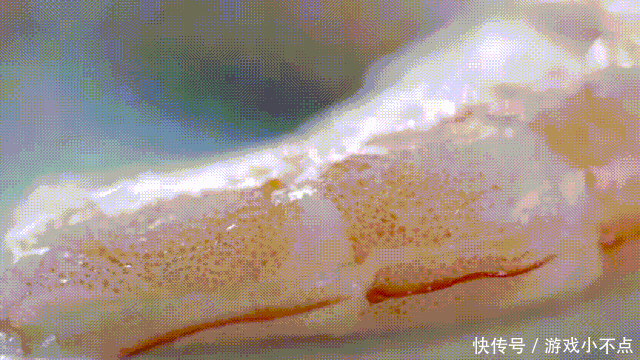 名字来源|广东最被忽略的美食之城,没想到是它|原创