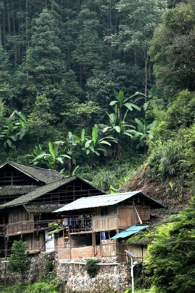  地基|河畔老屋：十万元就想买我的老屋，还连地基？十万元可以站十分钟