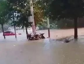  走路|突发！男子路口触电身亡，网友惊呼：走路都不安全了？官方回应...