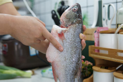  腥味|不管蒸什么鱼，记得去掉鱼身上这4个地方，鱼肉鲜嫩，没腥味