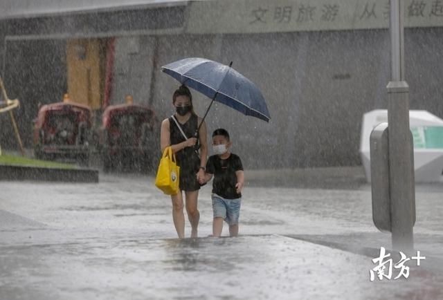 深圳市|图集丨深圳暴雨雷电双预警，开启“疯狂倒水”模式