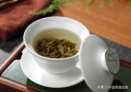 盖盖的朋友|茶叶在出汤后,盖子到底是掀开还是盖上?现在就告诉你答案