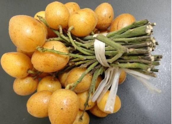  悄悄|这种水果正悄悄上市！不仅酸甜可口，全身都是宝！喜欢吃吗？