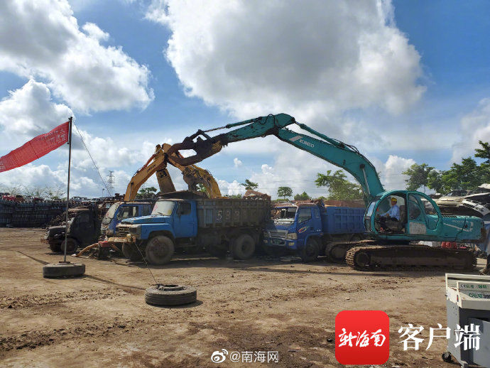 黑社会|海口警方组织集中销毁王世健黑社会组织涉案车辆