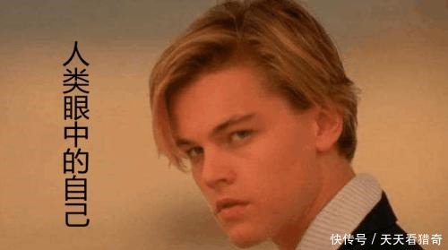 对比|魔兽世界各种族差距对比，图四是血精灵被黑的最惨的一次！