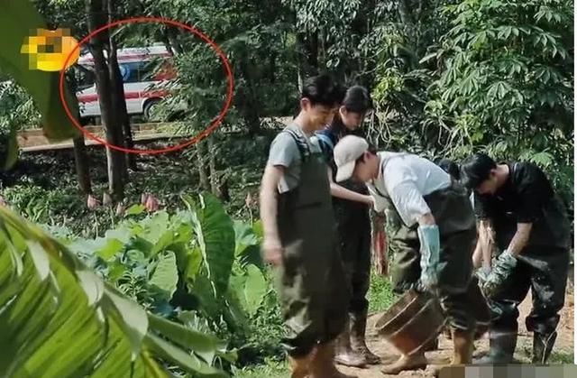 狠狠|《向往4》安排嘉宾挖藕,却被质疑是作秀,官博公开科普狠狠打脸