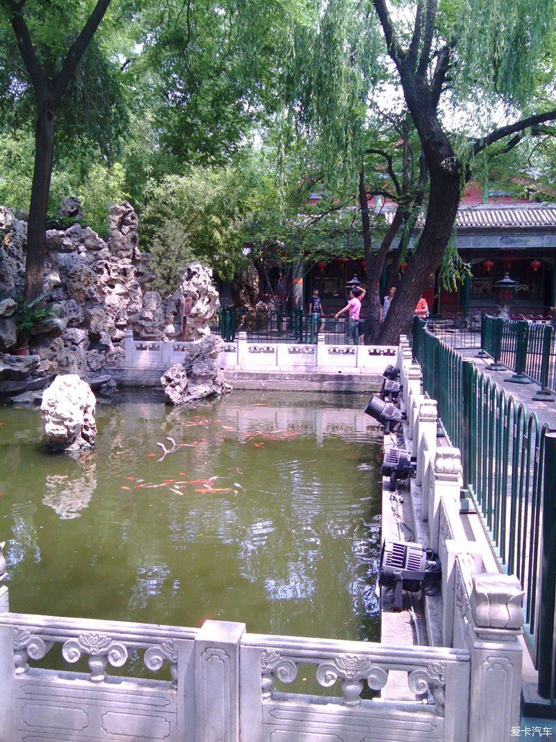 合集|周末一天逛逛吃吃合集!