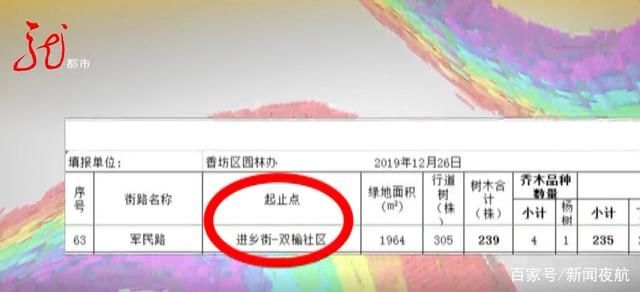  大树|狂风暴雨，大树倾倒砸车，谁来担责？
