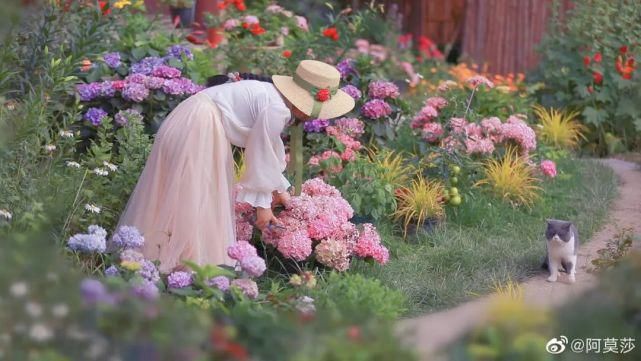  李子|她用3年时间爆改老宅，把荒地变花海：原来除了李子柒，我们还有另一种田园牧歌