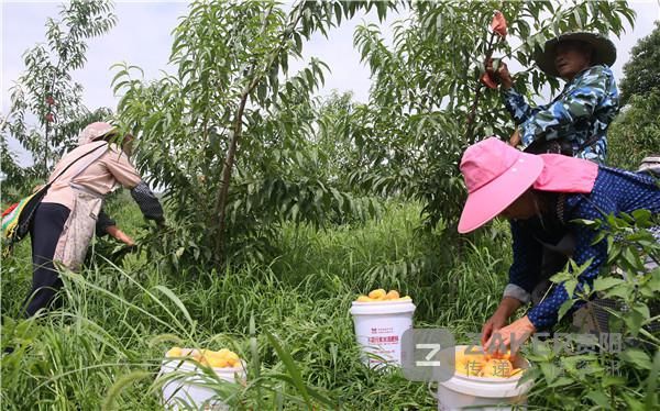  日报|贵阳日报传媒集团蹲点调研行之清镇：提质增效决胜全面小康（上）