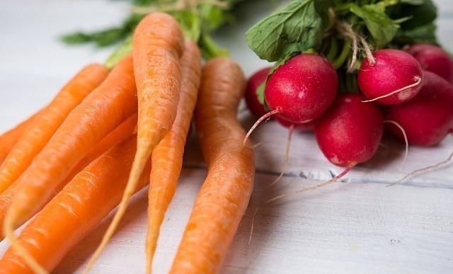 选择|喜欢吃胡萝卜,因为胡萝卜营养丰富,容易栽培