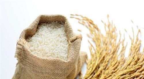 却是|为何印度大米煮熟后是散状,我国的却是胶团状原因会颠覆你想象
