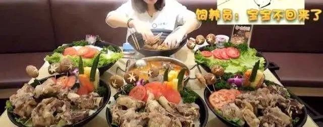  浪费|脑干出血去世、体重280斤……这种“真香”背后的真相，是伤人伤己