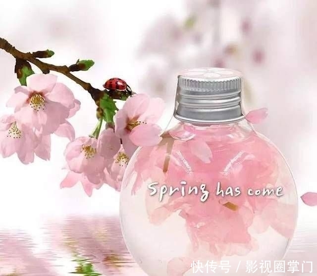 春天|春天的食樱，日本的美味佳肴