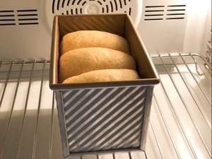 吐司|波兰种全麦吐司(椰子油版)