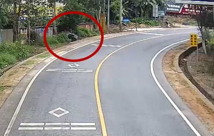  骑车|骑车打瞌睡！灵山一女司机直冲冲的开着摩托车，掉进路边水沟…