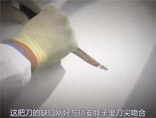  李昌钰|一家3口被害，FBI久久不能破案，李昌钰进屋溜达了一圈，巧妙破局