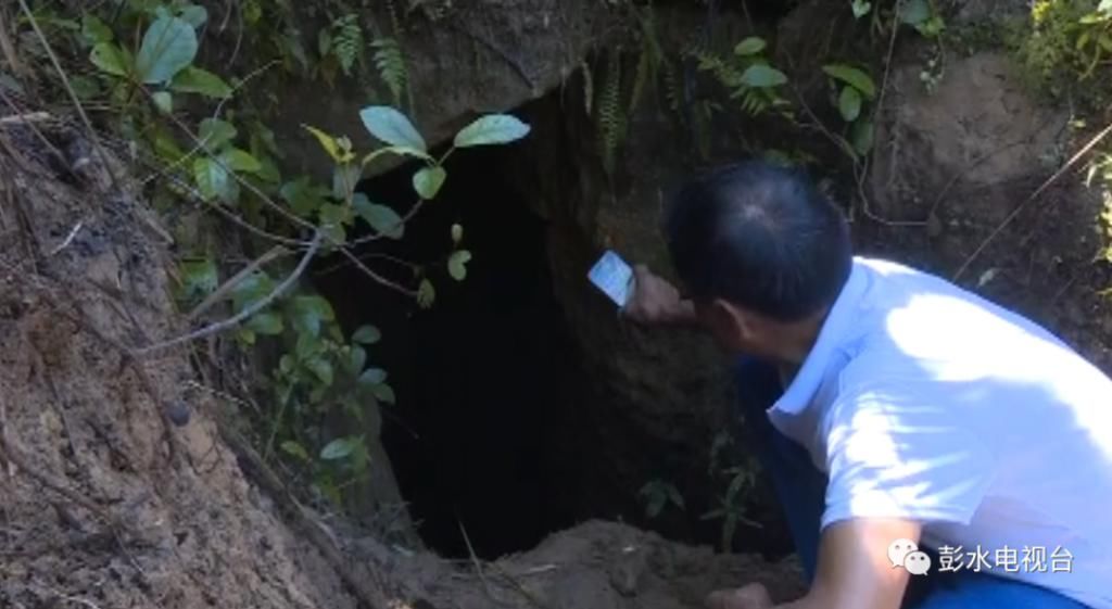  母牛|母牛掉进山洞里 邻居齐心把牛救