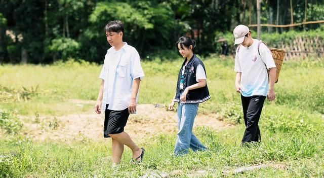  难看|《向往的生活》越来越难看？看看这些数据再说吧