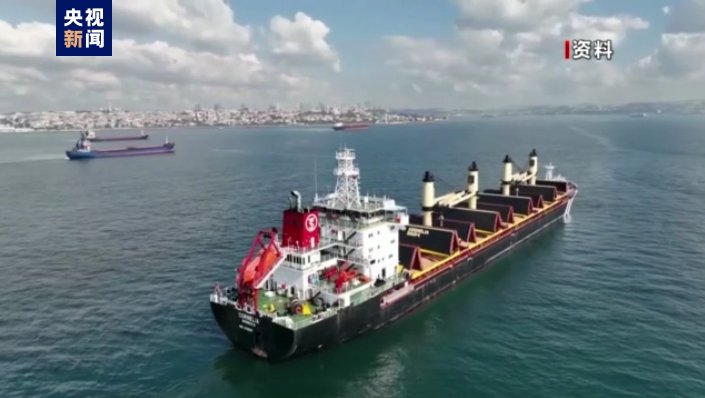 俄驻联合国官员：黑海港口农产品外运协议延期条件未达到