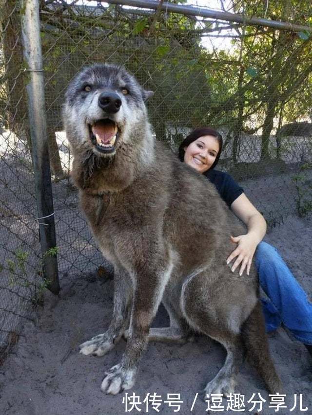 无所不能|那些人类遗忘的角落,大自然无所不能