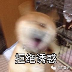 警方|200余人被骗100多万!永仁警方协助破获网络招嫖诈骗案!