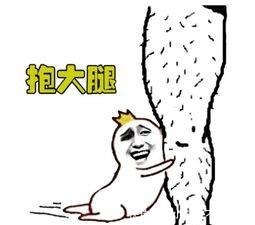 市场|茅台员工福利人手4瓶内供酒，成市场抢手货，一招教你辨真假！