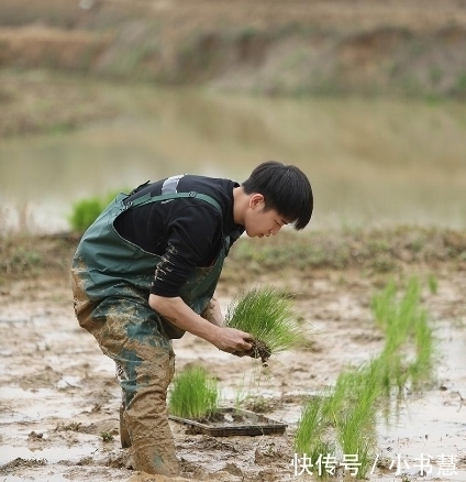  任嘉伦和谭|《向往的生活4》开录，导演发动态惹观众心疼，嘉宾阵容被称赞！