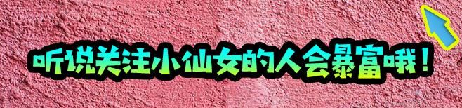  完美|《三十而已》的“完美人妻”顾佳：女人太能干真的是错吗？