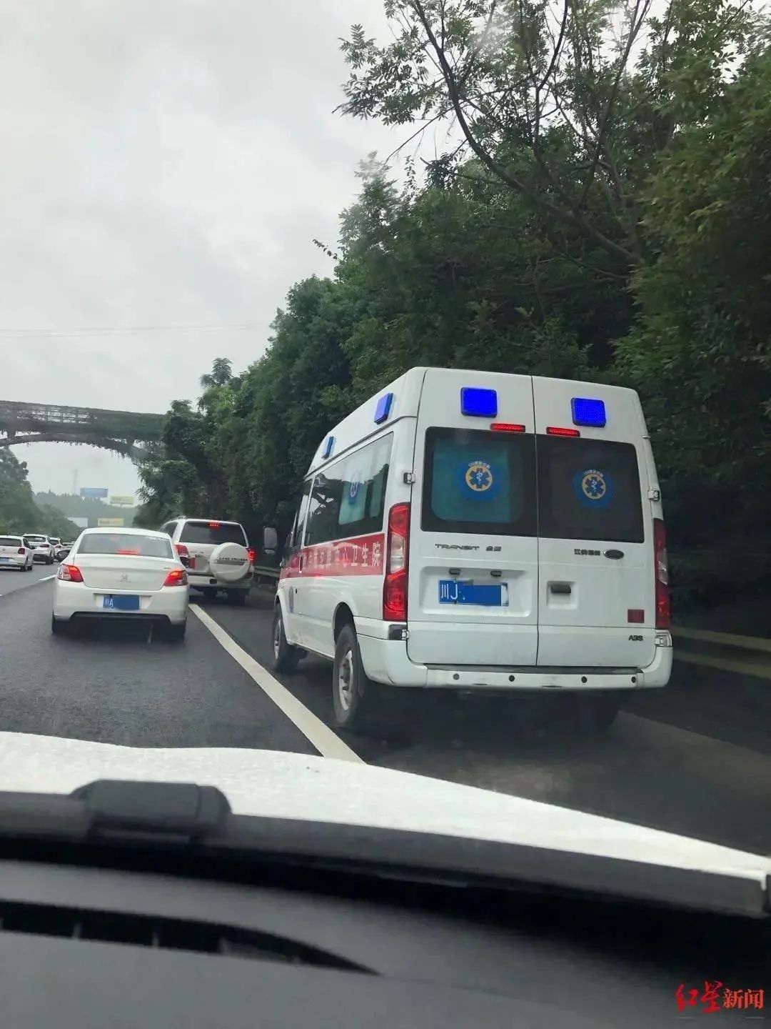 举报|女子高速上拍下270辆车举报！后续来了