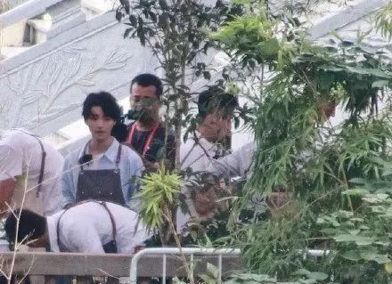  职场|“老店长”黄晓明搭档“新人”赵丽颖，《中餐厅4》又刷新职场组合了？