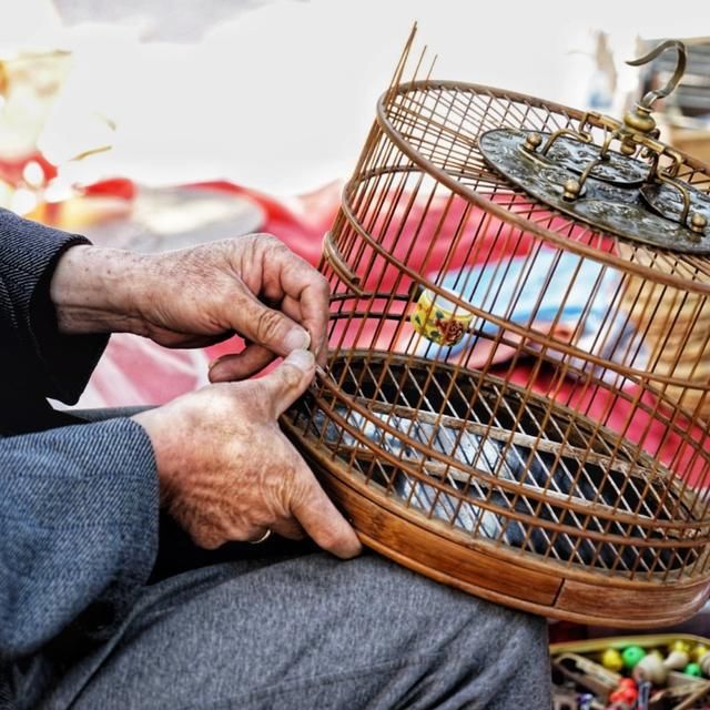  木头|继李子柒后，63岁木工大爷火爆外网，他凭什么月入60万？