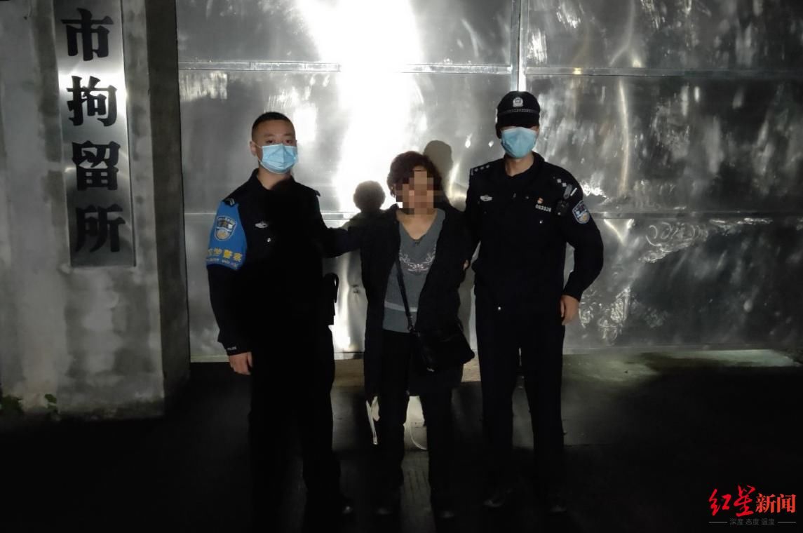 游船|四川乐山一女子倒卖乐山大佛游船票 获利数百元被拘5日