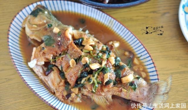 猪肉|猪肉那么贵,吃猪肉不如吃它,遇到了准要买回家