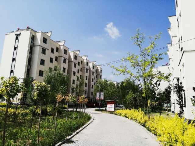 娃娃|广荣村“红领巾”播“大喇叭”，文明不文明让娃娃们讲一讲