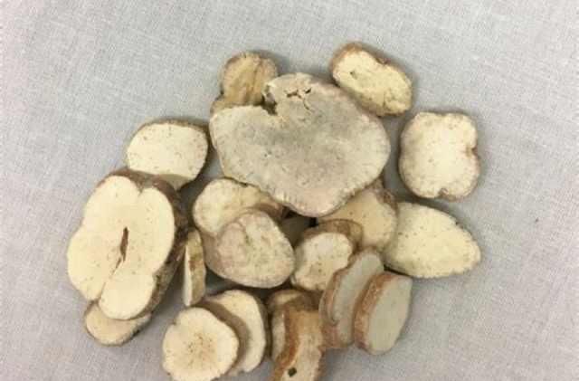 学识|学识《中华本草》天花粉